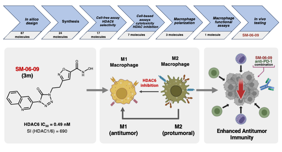 Journal of Medicinal Chemistry table-of-contents graphic: a screening funnel from 87 molecules down to SM-06-09, its structure and HDAC6 IC50 of 0.49 nM, and M1/M2 macrophage repolarisation combined with anti-PD-1.